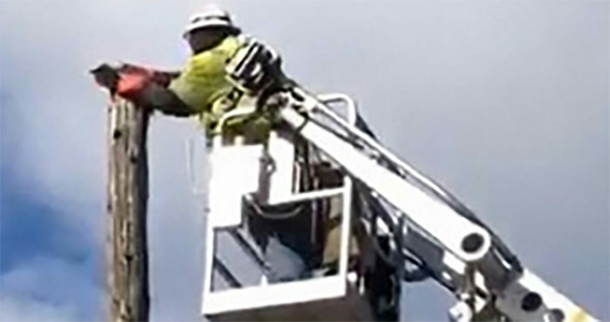 Verizon suspends employee from work after he rescues a cat stuck on top of a utility pole